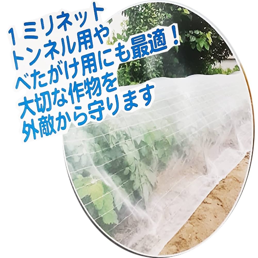 Amazon | SHINSEI シンセイ 防虫ネット 1mm目 180cm×10m | 防鳥